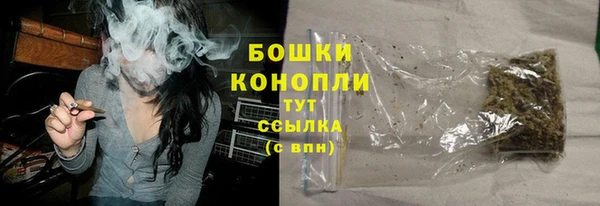 не бодяженный Заводоуковск
