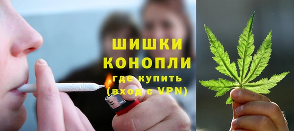 не бодяженный Заводоуковск