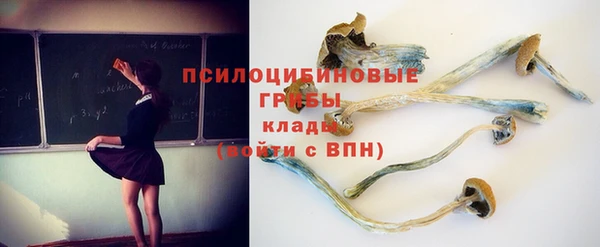 не бодяженный Заводоуковск