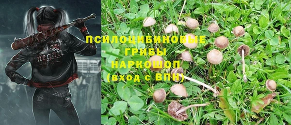 не бодяженный Заводоуковск
