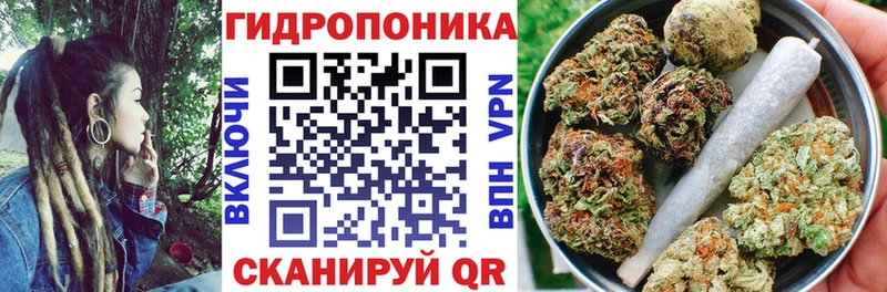 сколько стоит  Заводоуковск  Шишки марихуана семена 